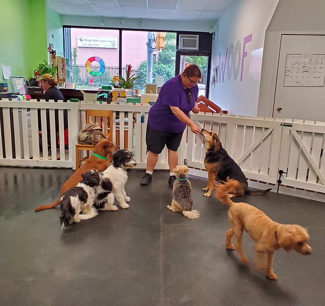 Mascota en Hotel Madagascar 2